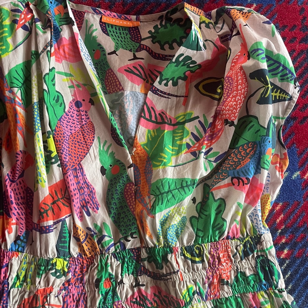 Oliphant dress L parrots swing